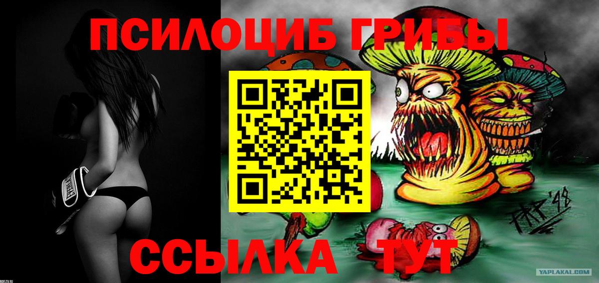 Брянск  Галлюциногенные грибы GOLDEN TEACHER  Вход с VPN 